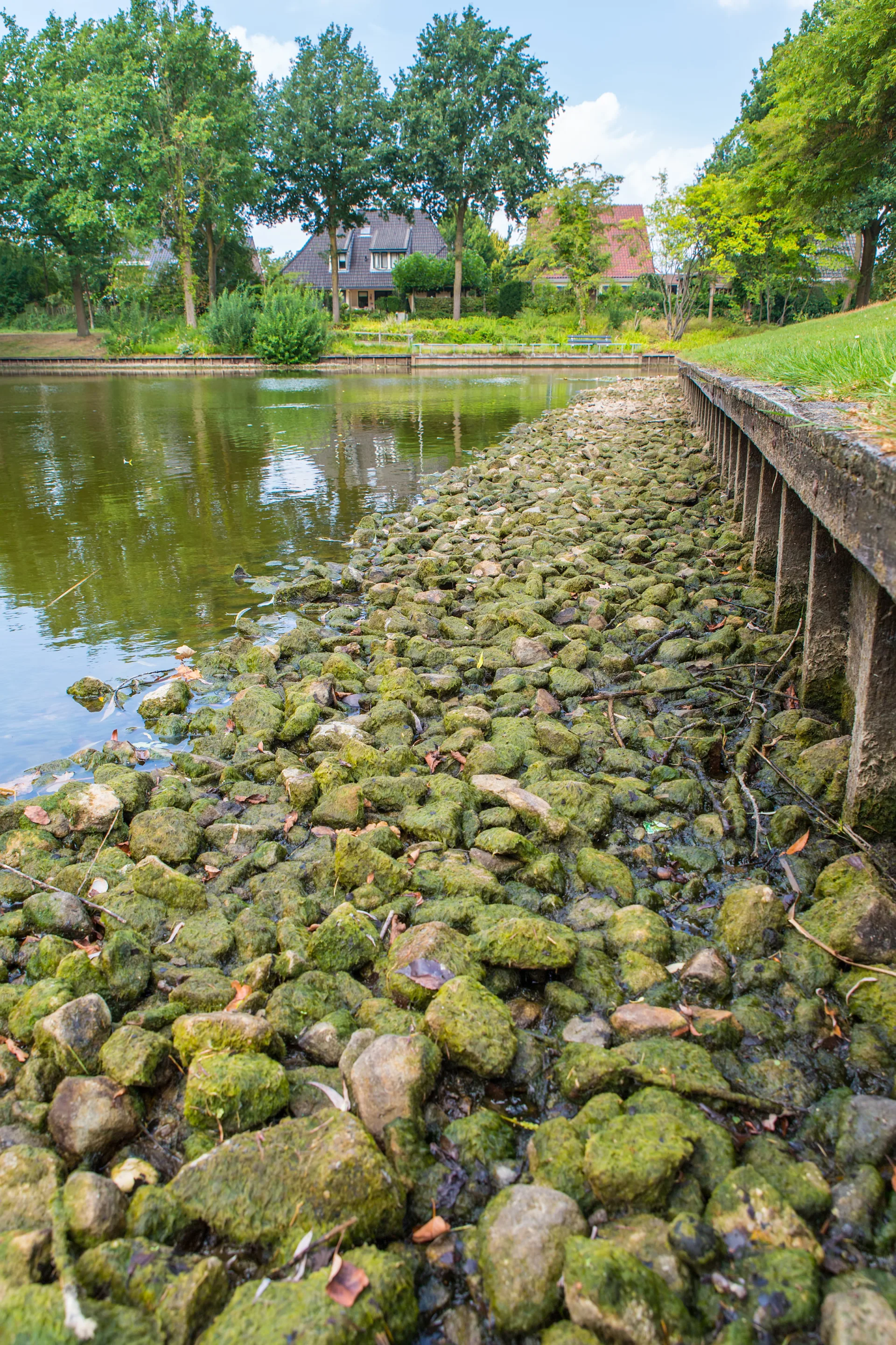 Low Water Levels on Shoreline Systems